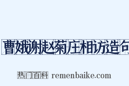 曹娥谢赵菊庄相访造句是什么意思的图片